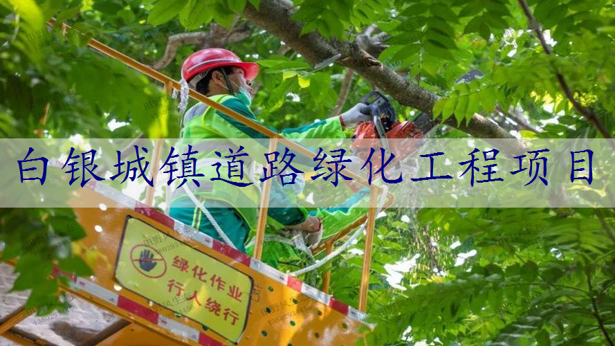 白银城镇道路绿化工程项目